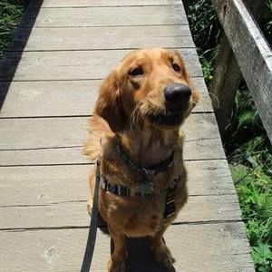 Meet your Posher, Carol